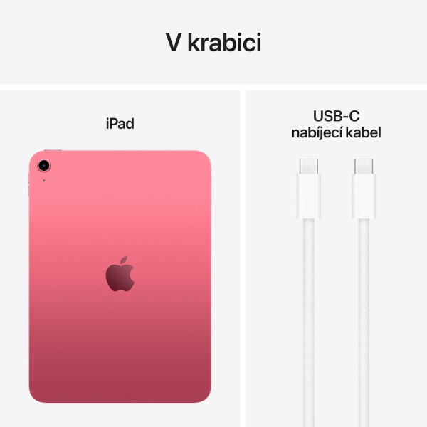 iPad (A16) Wi-Fi 256GB - Pink