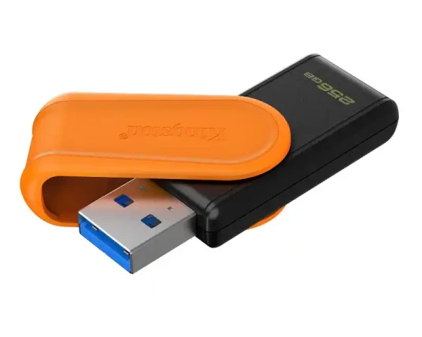 USB Flash 256 GB Kingston 3.2 Gen1 DTXS256GB