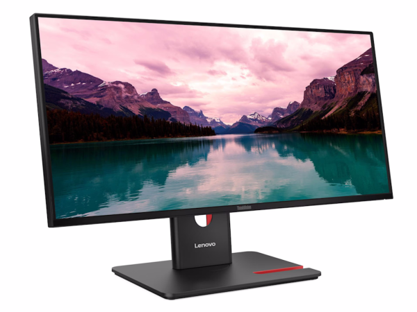 Monitor LENOVO ThinkVision T24-40 23.8''/IPS/1920x1080/120Hz/4ms/HDMI,DP,VGA/4xUSB, xUSB-C/tilt,swive  