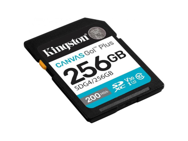 MEMORIJSKA KARTICA KINGSTON SDG4/256GB  